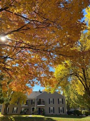 15 acres of park-like beauty with dozens of walkways.