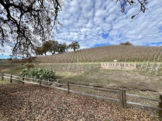 Santa Ynez Valley bike ride