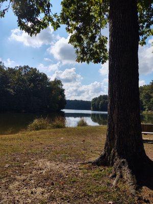 Scott's Cove Recreation Area