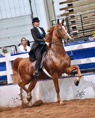 Liberty Farm Equestrian Center