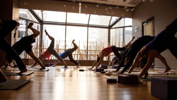 Experience yoga at the beautiful Tryon St Yoga.