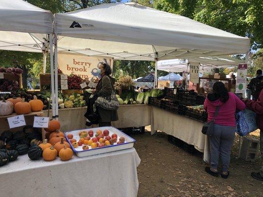 TASH Farmers market