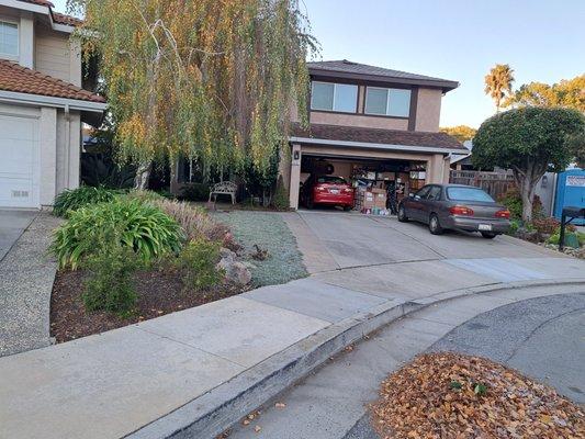 Front yard landscaping.  Note how driveway was widened with bricks.