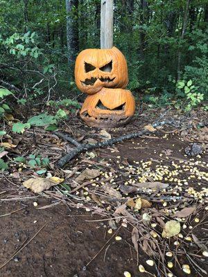 Angry pumpkins