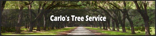 Carlo's Tree Service