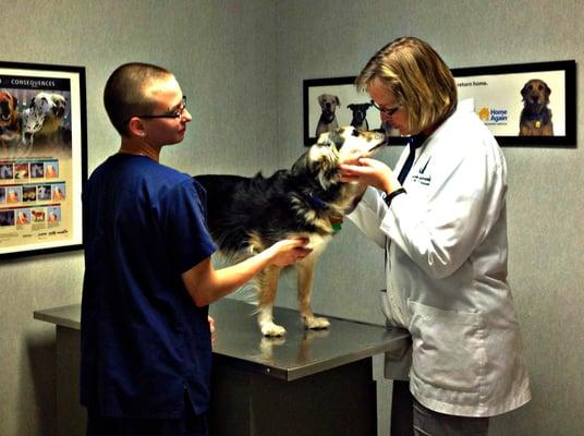 Dr. Peterson examining a patient with the assistance of Danielle.