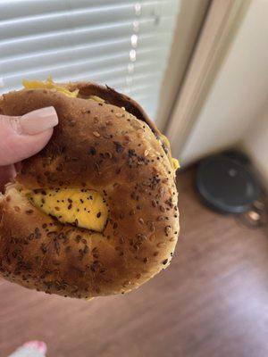 Everything Bagel