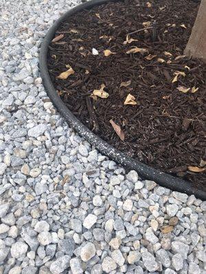 One example of the white paint that was left on our rocks, bark, and in other places- our grass and fruit.