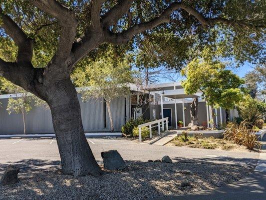 Oak trees embrace our club and give shade to our many members.