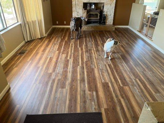 Luxury vinyl plank flooring, installed in under 4 hours! Dog approved