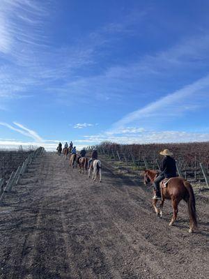 Cruising the vineyard in February, bud break coming soon!