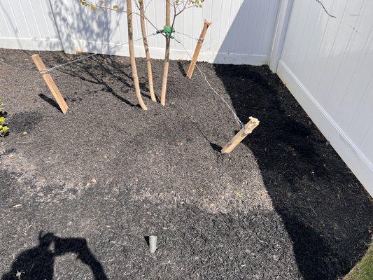 Uneven mulch in backyard