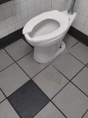 This is the ladies bathroom nasty..