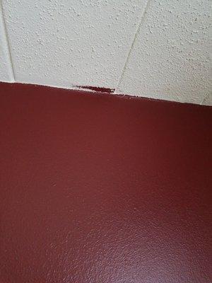 Seriously? These walls were clearly not painted by a professional. And the color is hideous!