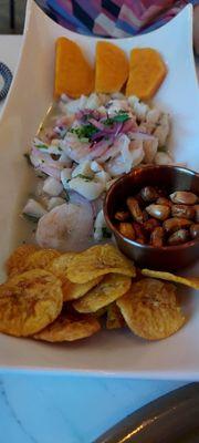 Ceviche appetizer