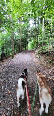 Trails, dog friendly on leash