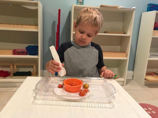 Montessori daycare