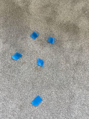 Pet stains on floor