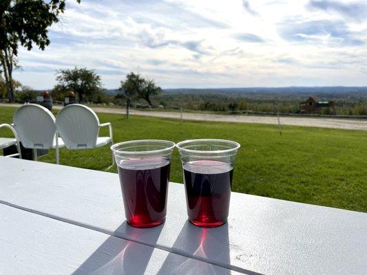 VISTA OF MAINE GREENE, MAINE MAINIAC BLUEBERRY CIDER