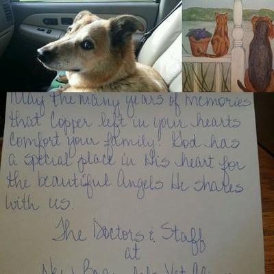 Hand written card for the loss of our dog. Talk about class.