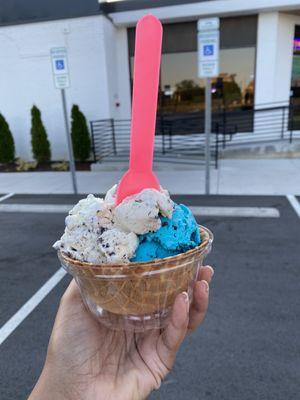 Double scoop in a waffle bowl ("Cookies by the Sea" & "Cookie Monster")