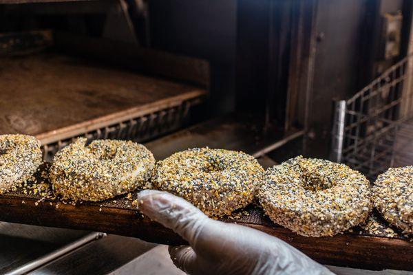 Kossars bagels being popped into the oven