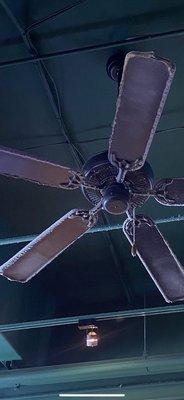 Picture of the dirty ass fan above my head