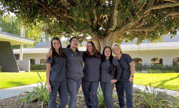 The staff at Singer Endodontics