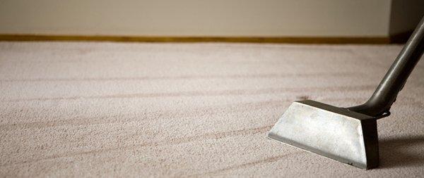 Sara bay carpet cleaning services is a local company located in Manatee county with for mission to provide you the best cleaning service.