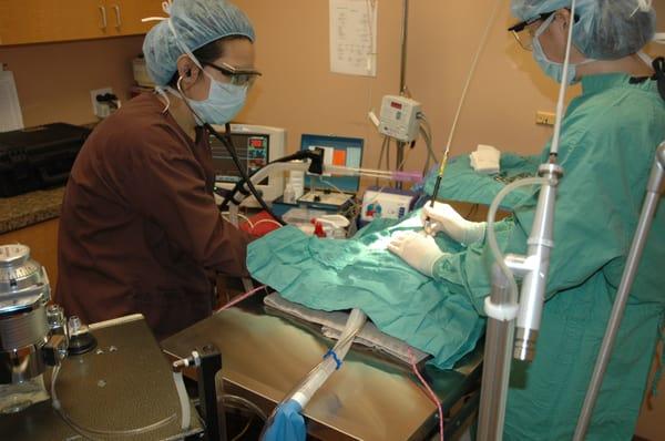 Dr. Karnia and Katrina in surgery.