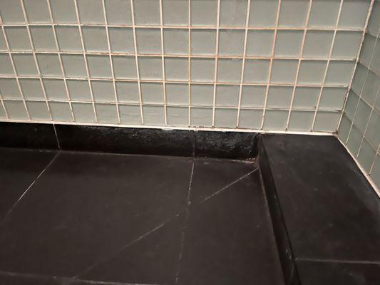 There is mold where the tile meets the slate. And there is discoloring on the grout above as well.