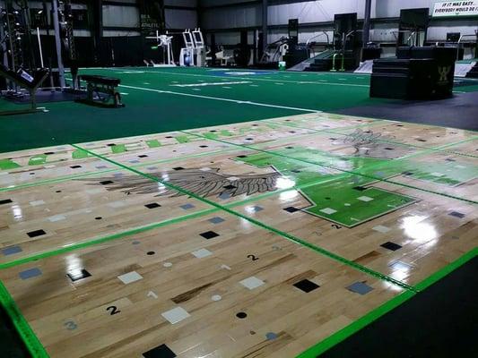 Our Plyo Floor enhances multidirectional quickness & agility with the ability to load up to 500 pounds of resistance.