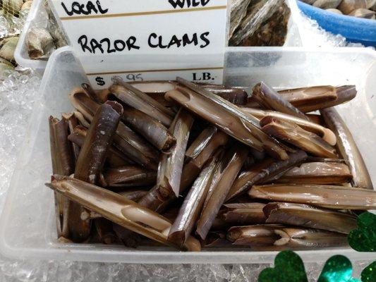 Local razor clams