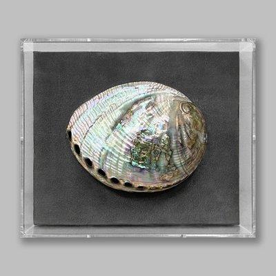 A simple abalone shell from a street vendor transformed into an object of beauty. This is the magic that Chelsea Frames performs."