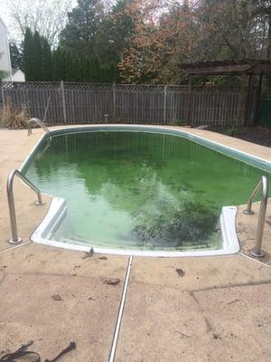 $220 for a pool "opening ". Dumped all the leaves off the cover into the pool. Put the railings in. Nothing else.