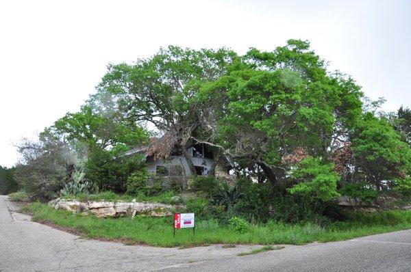 Before-beautiful oak trees creating a covered 'wooded-look' property.