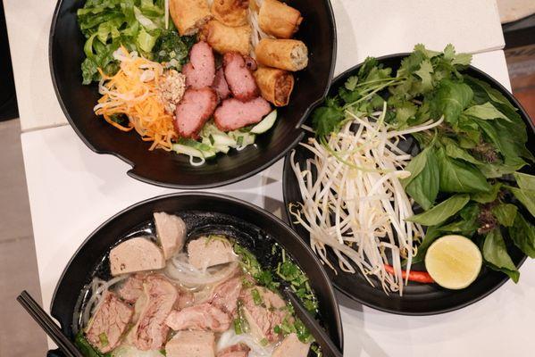 Noodle bowl and beef and brisket pho