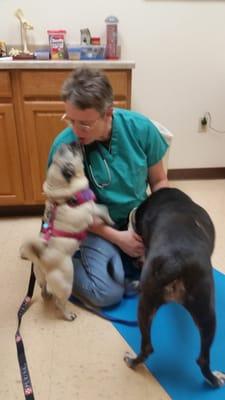 Dr Chip getting loved up by her loving patients. They can't get enough of her and her staff. :)