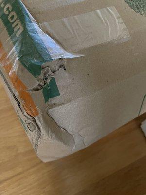 Damaged moving box