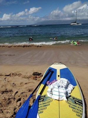 Affordable MAUI SUP Rentals. We rent top of the line, premium SURFTECH & NAISH boards! FREE Pick Up and Delivery 808-353-6621