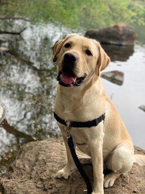 @oakythedog always loves a nice run around the lakes here!