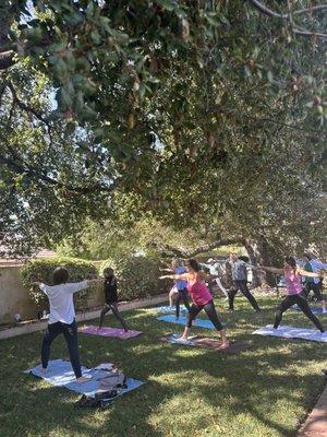 QiGong under the trees