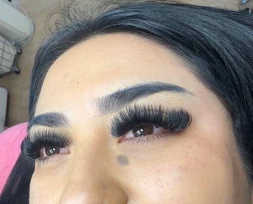 Eyelash Extensions Volume Mega