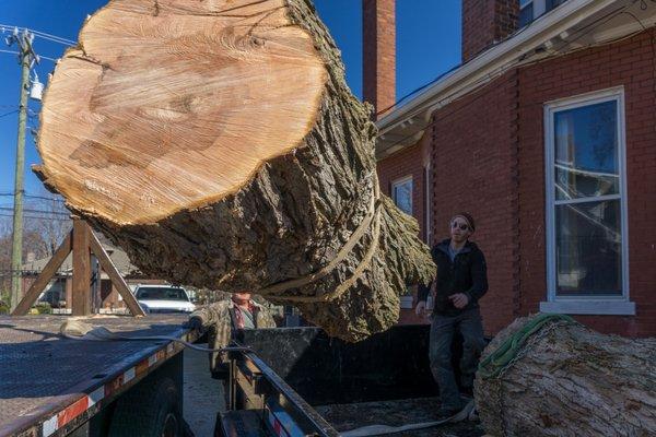 An East Nashville Maple Tree that hung over the home is being salvaged for future furniture.