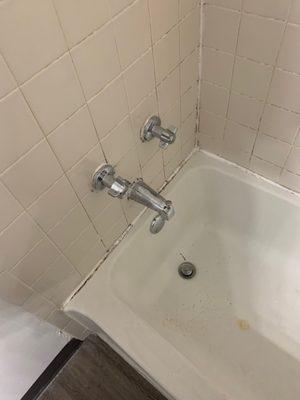 Moldy tub/shower