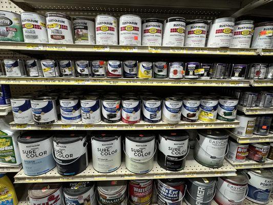 Paint Section