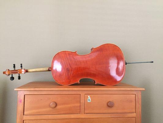 Cello rear