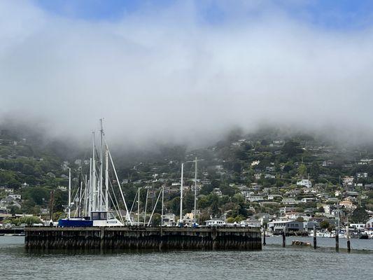 Foggy morning as we set sail from Sausalito.