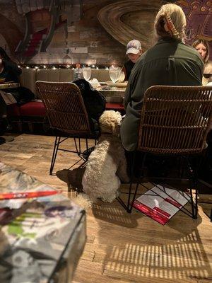 Dogs inside the restaurant, 2 of them. One of the people at the table was also vaping.