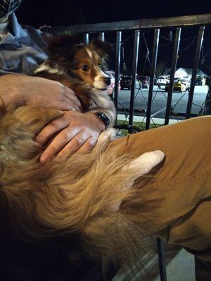 Waiting on the porch for our turn to see the vet.